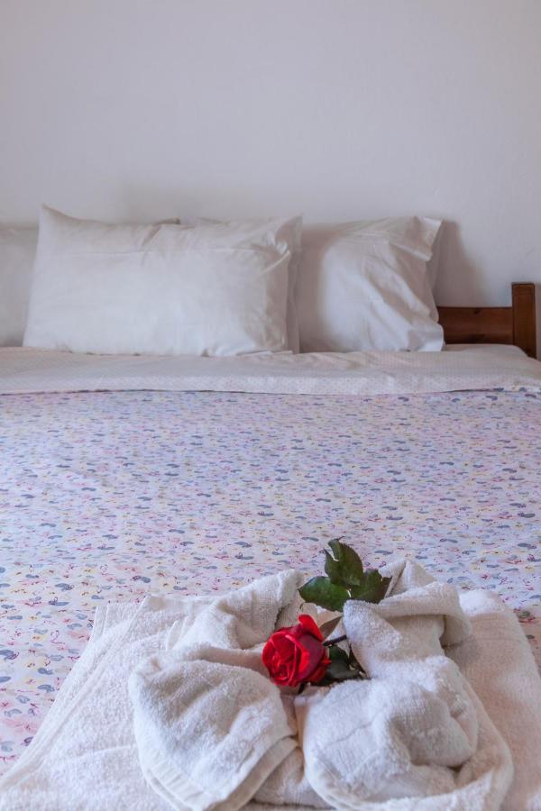 Ioannis Appartment كاندية المظهر الخارجي الصورة